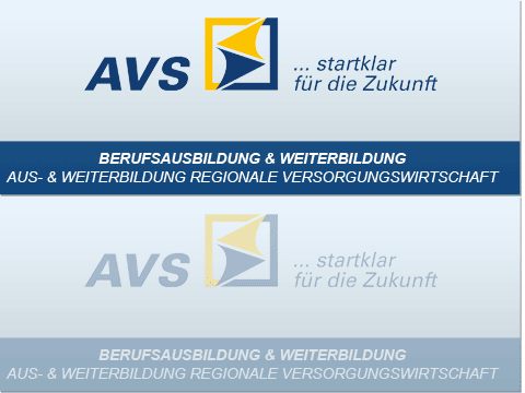 AVS-Ausbildungsverbund Versorgungswirtschaft Südsachsen gGmbH